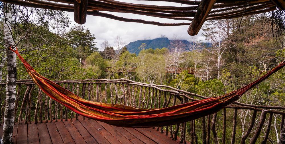 Tree Lodge Nidos De Pucón Eksteriør billede