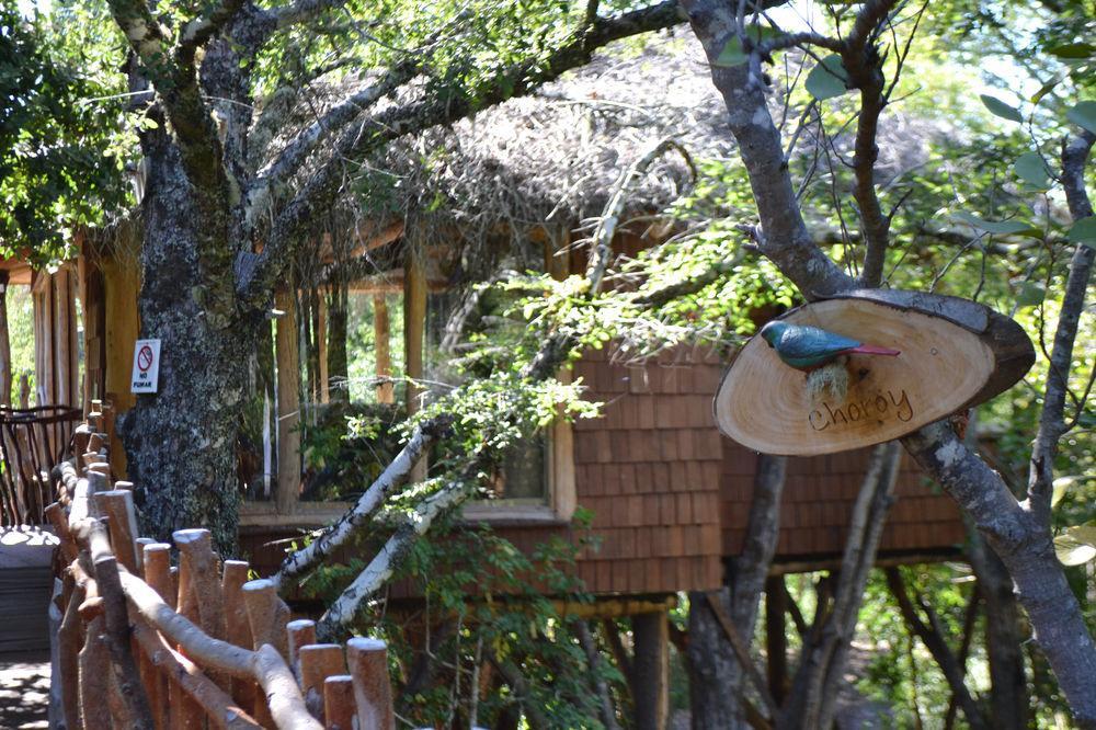 Tree Lodge Nidos De Pucón Eksteriør billede