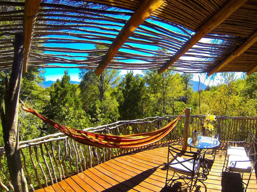 Tree Lodge Nidos De Pucón Eksteriør billede